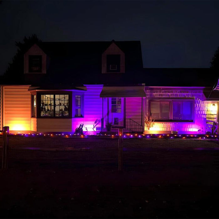 UV Purple Light Flood Light - Halloween Outdoor Waterproof - Ambient Party Lighting