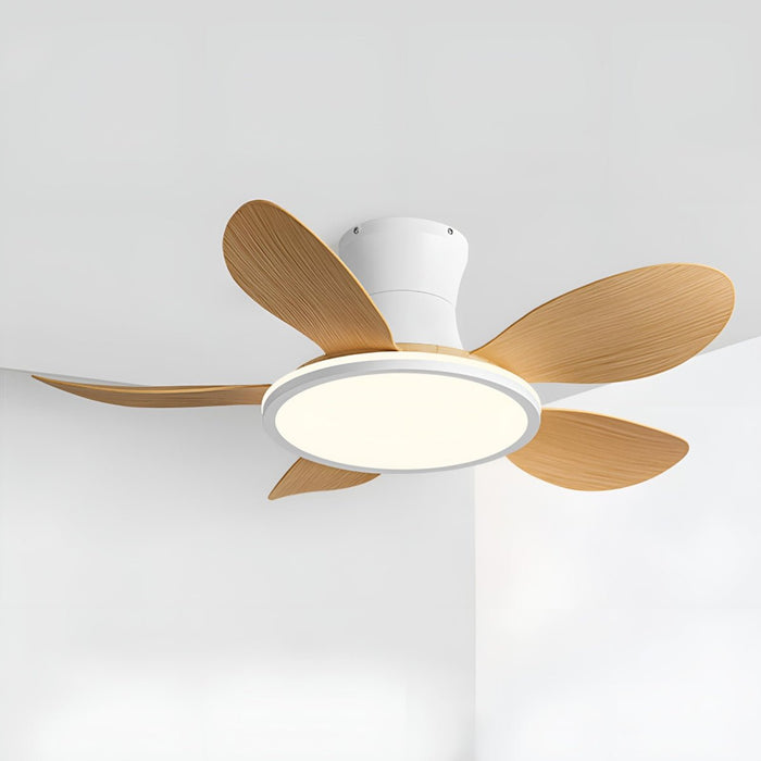 Modern Minimalist Ceiling Fan Light - 15.7 Inch Lampshade, 6-Speed Reversible Airflow