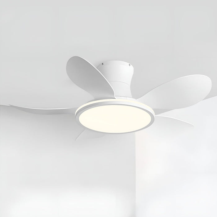 Modern Minimalist Ceiling Fan Light - 15.7 Inch Lampshade, 6-Speed Reversible Airflow