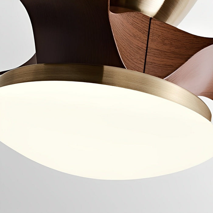 Ceiling Fan Light - Modern Minimalist DC Motor, Reversible Airflow, Integrated LED - Small Space