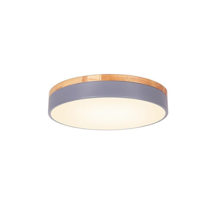 12 Circular LED Modern Ceiling Lights Flush Mount Lighting Ceiling Lamp