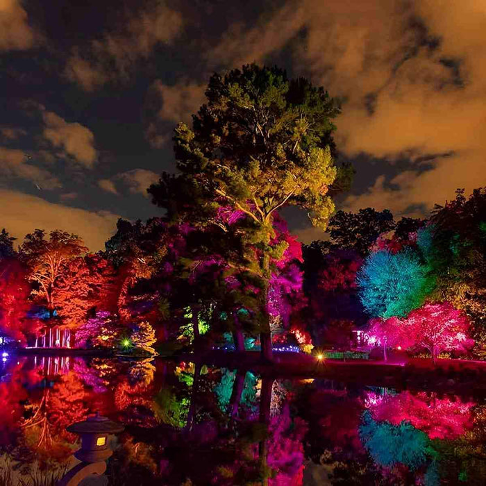 RGB LED Spot Light - Outdoor Waterproof Tree Lighting, Landscape Lamp for Garden / Yard