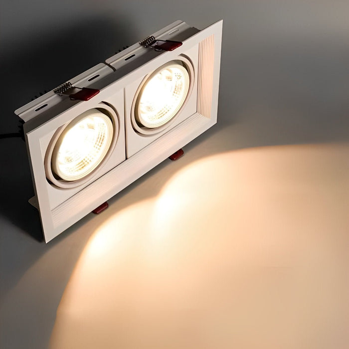 Dual-Head Recessed Spotlight - Adjustable Gimbal Downlight for Sloped Ceiling, Accent and Wall Wash Lighting
