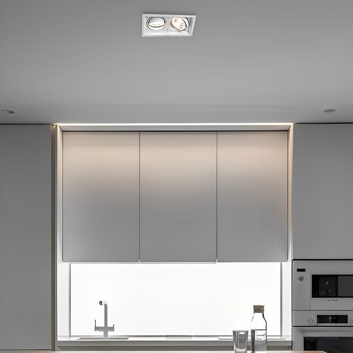 Dual-Head Recessed Spotlight - Adjustable Gimbal Downlight for Sloped Ceiling, Accent and Wall Wash Lighting