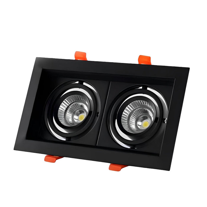 Dual-Head Recessed Spotlight - Adjustable Gimbal Downlight for Sloped Ceiling, Accent and Wall Wash Lighting