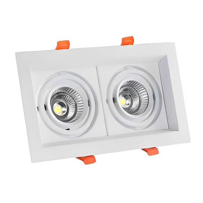 Dual-Head Recessed Spotlight - Adjustable Gimbal Downlight for Sloped Ceiling, Accent and Wall Wash Lighting