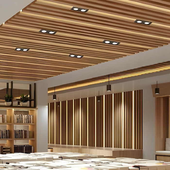 Dual-Head Recessed Spotlight - Adjustable Gimbal Downlight for Sloped Ceiling, Accent and Wall Wash Lighting