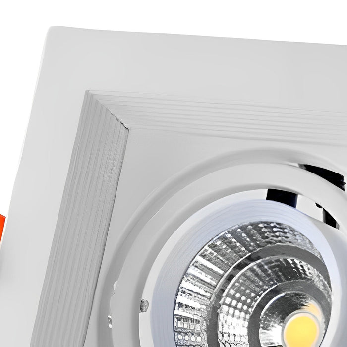 Dual-Head Recessed Spotlight - Adjustable Gimbal Downlight for Sloped Ceiling, Accent and Wall Wash Lighting