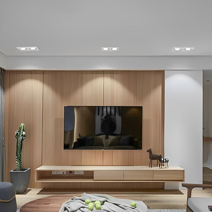 Dual-Head Recessed Spotlight - Adjustable Gimbal Downlight for Sloped Ceiling, Accent and Wall Wash Lighting