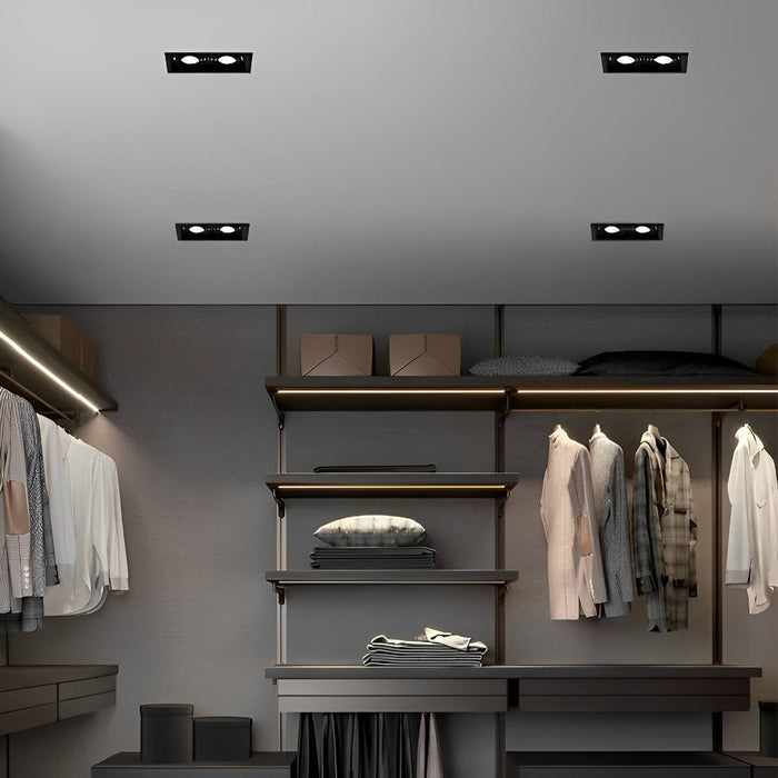 Dual-Head Recessed Spotlight - Adjustable Gimbal Downlight for Sloped Ceiling, Accent and Wall Wash Lighting