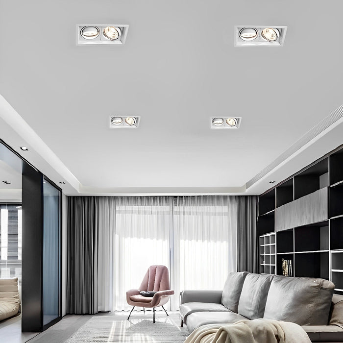 Dual-Head Recessed Spotlight - Adjustable Gimbal Downlight for Sloped Ceiling, Accent and Wall Wash Lighting