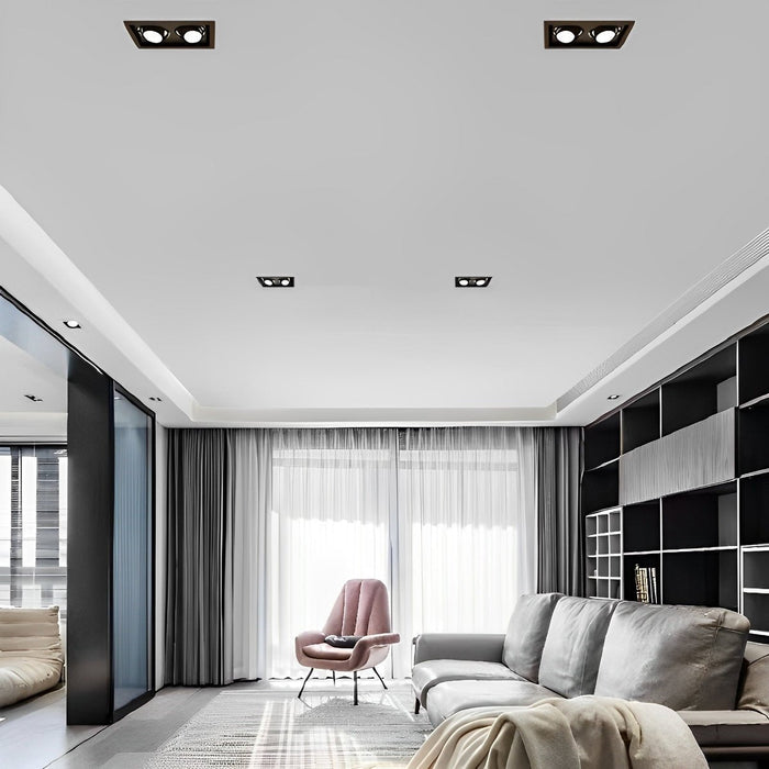 Dual-Head Recessed Spotlight - Adjustable Gimbal Downlight for Sloped Ceiling, Accent and Wall Wash Lighting