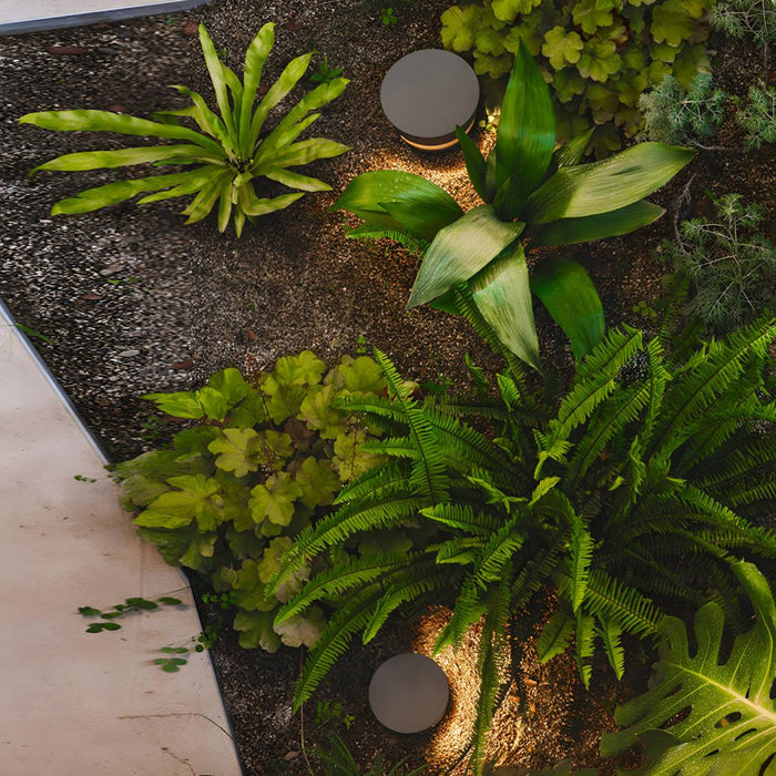 Solar Outdoor Landscape Light, Round LED Pathway, Waterproof Garden Deck, Dusk to Dawn Easy Install