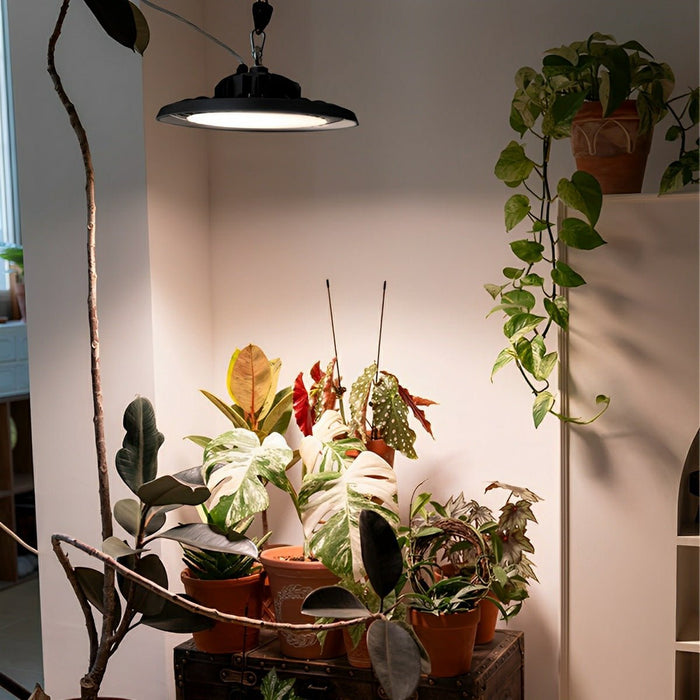 UFO Dish Floodlight - Outdoor Waterproof LED Barn Light, Greenhouse, Garage, Warehouse Lighting