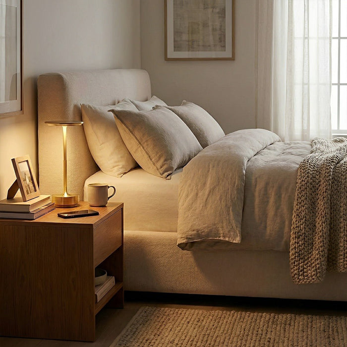 LED Table Lamp - USB Dimmable Dish, Rechargeable, 3 Color Temperatures, Modern Minimalist Design
