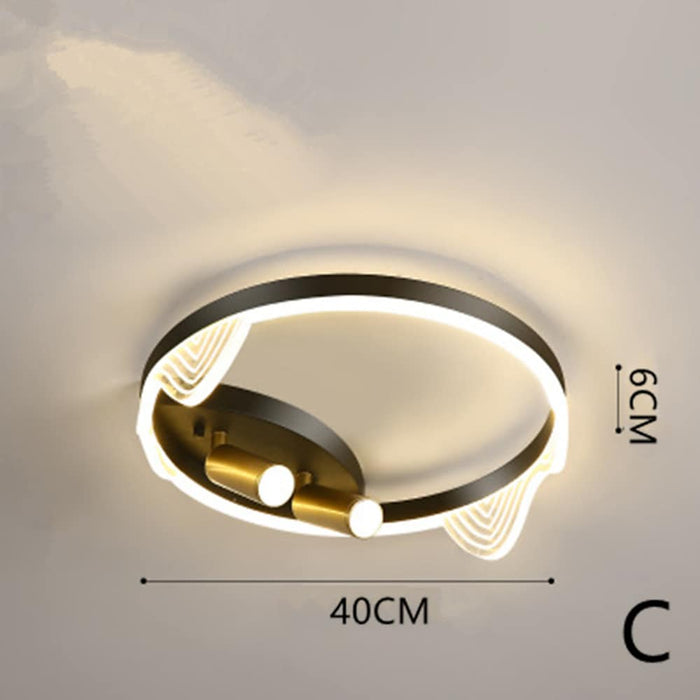 Modern Black Flush Mount Light LED Ceiling Light Circle Spotlights